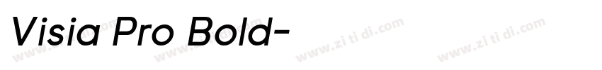 Visia Pro Bold字体转换